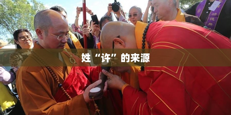 种红豆要搭架子吗
