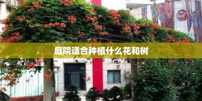 庭院适合种植什么花和树