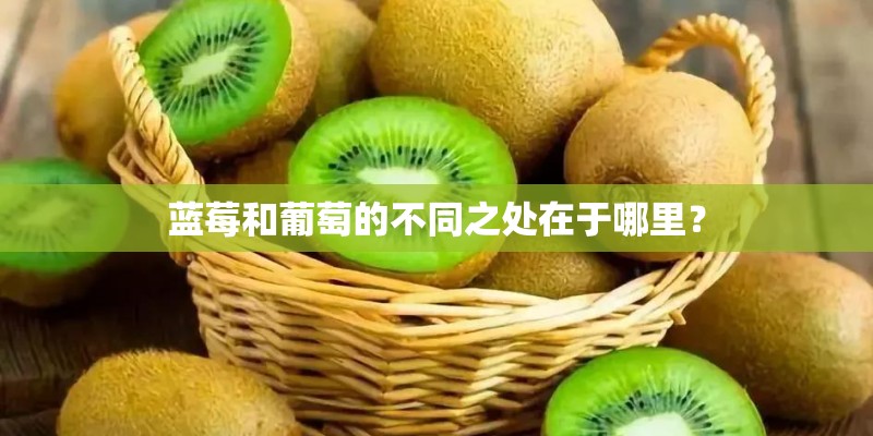 蓝莓和葡萄的不同之处在于哪里？