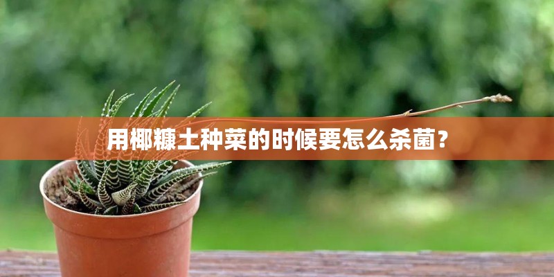 用椰糠土种菜的时候要怎么杀菌？