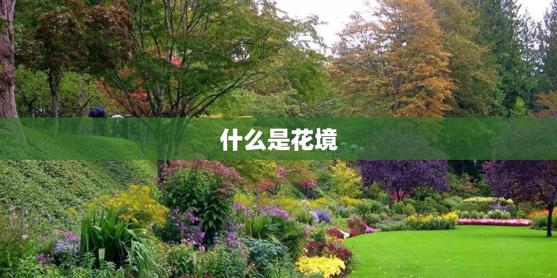 什么是花境