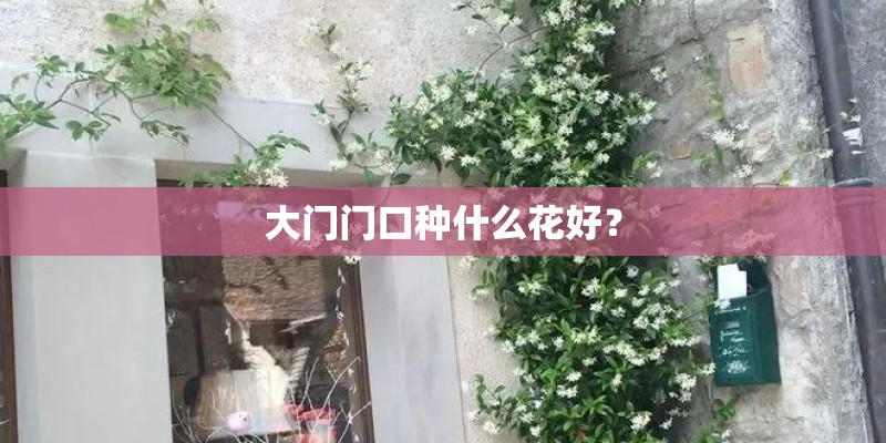 大门门口种什么花好？