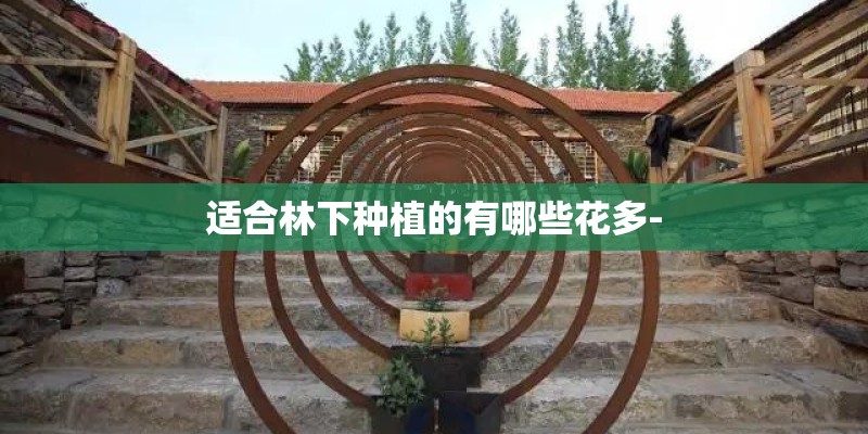 适合林下种植的有哪些花多-