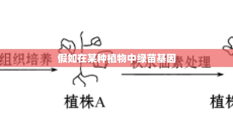 假如在某种植物中绿苗基因