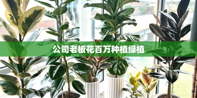 公司老板花百万种植绿植