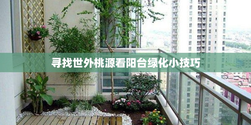 寻找世外桃源看阳台绿化小技巧