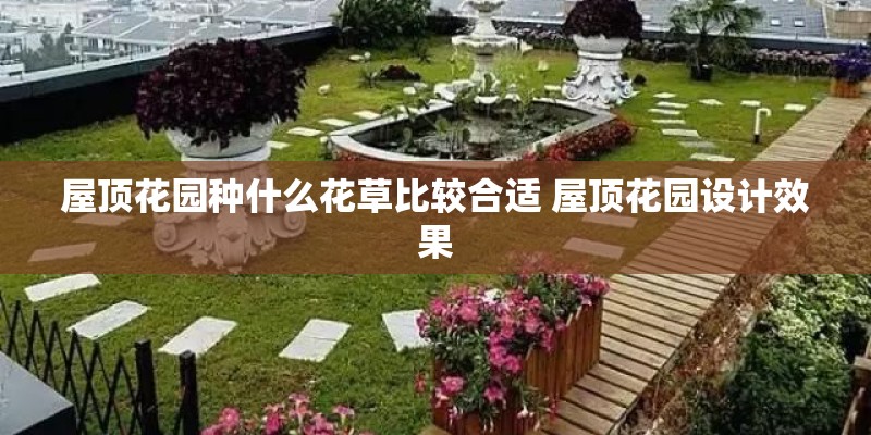 屋顶花园种什么花草比较合适 屋顶花园设计效果