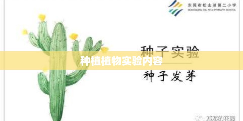 种植植物实验内容
