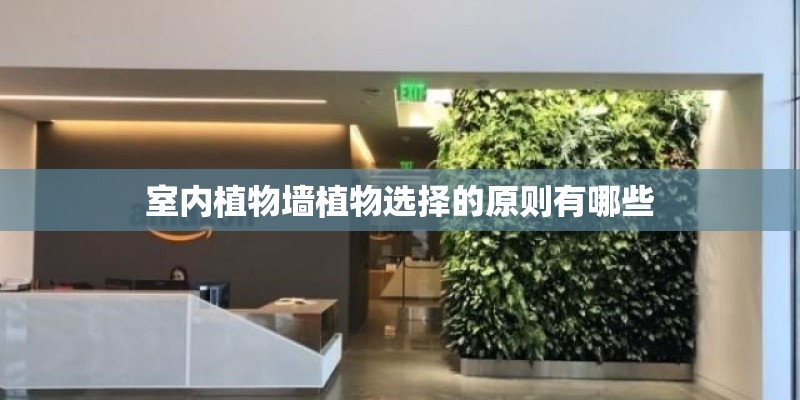 室内植物墙植物选择的原则有哪些
