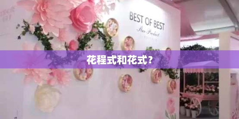 花程式和花式？