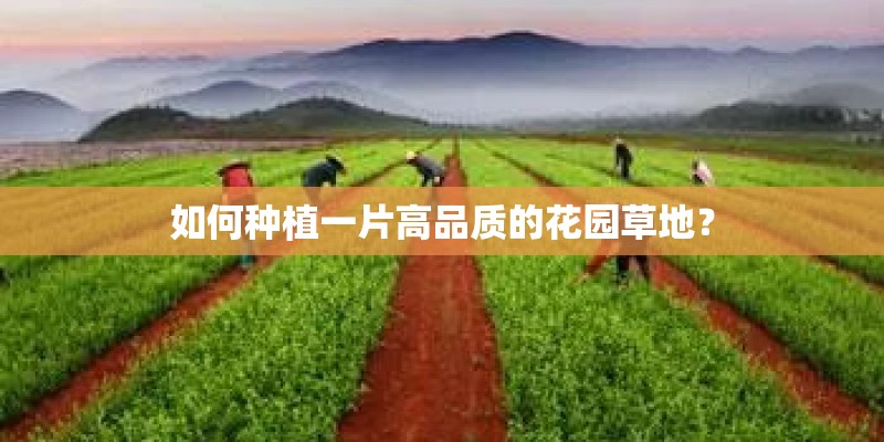如何种植一片高品质的花园草地？