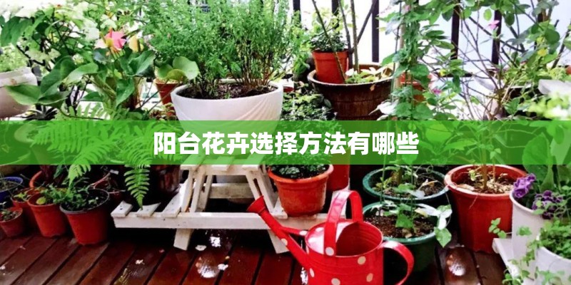 阳台花卉选择方法有哪些