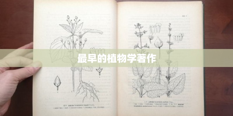 最早的植物学著作