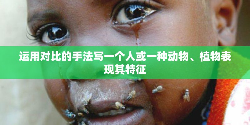 兰花栽培的8种工具