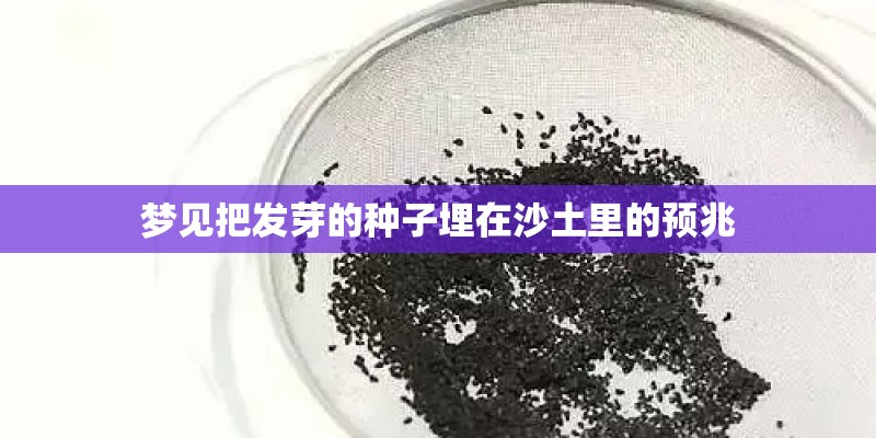梦见把发芽的种子埋在沙土里的预兆