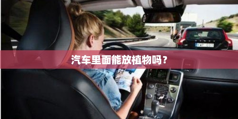 汽车里面能放植物吗？