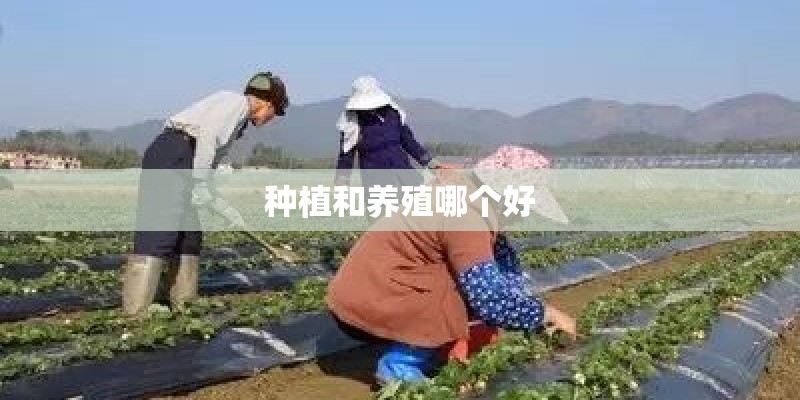 种植和养殖哪个好