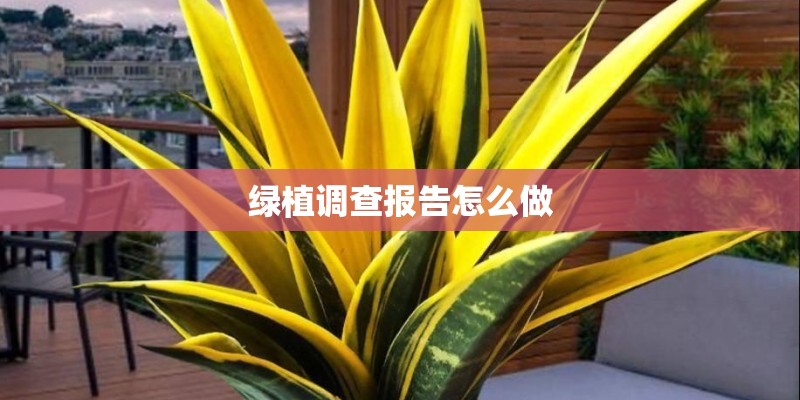 绿植调查报告怎么做