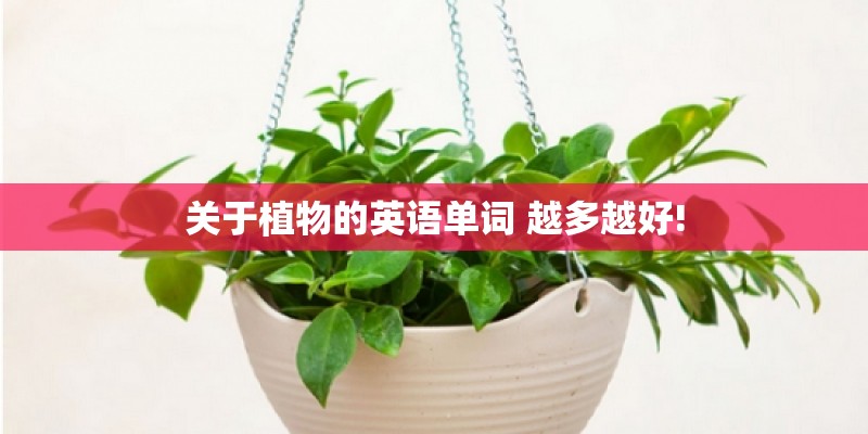 关于植物的英语单词 越多越好!