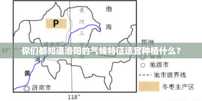 你们都知道洛阳的气候特征适宜种植什么？