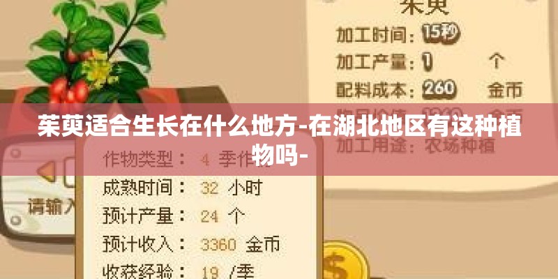 茱萸适合生长在什么地方-在湖北地区有这种植物吗-