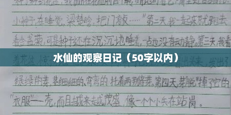 水仙的观察日记（50字以内）