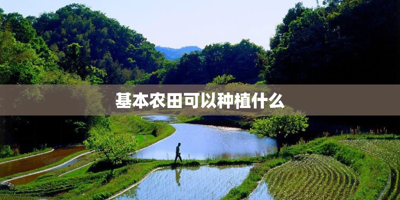 基本农田可以种植什么