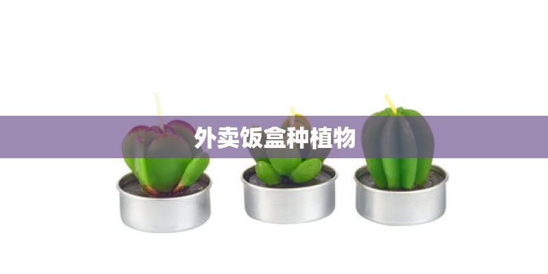 外卖饭盒种植物
