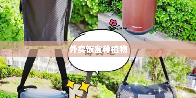 外卖饭盒种植物