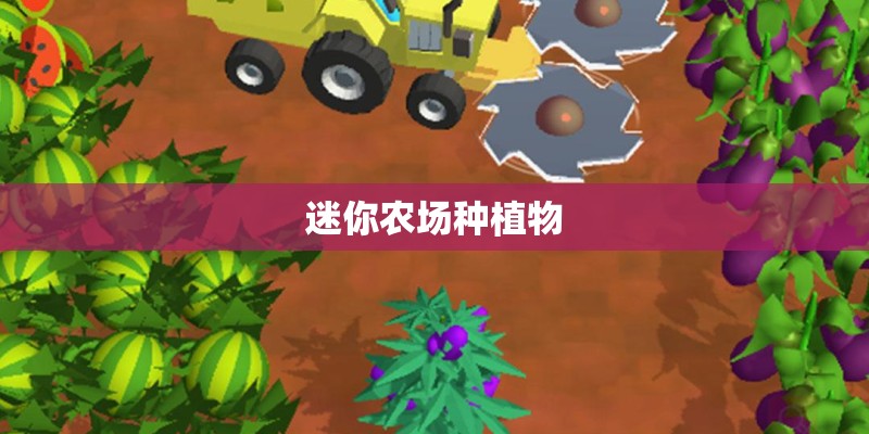 迷你农场种植物