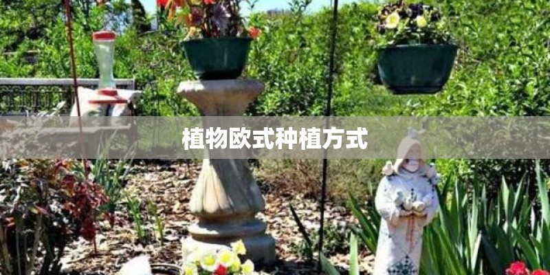 植物欧式种植方式