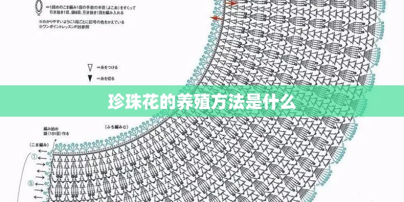 珍珠花的养殖方法是什么 珍珠花的养殖方法是什么