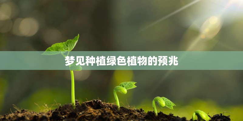 梦见种植绿色植物的预兆
