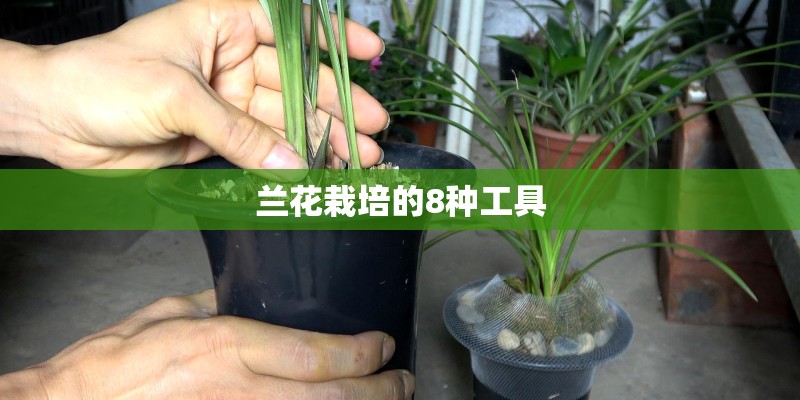 兰花栽培的8种工具
