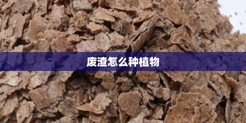 废渣怎么种植物