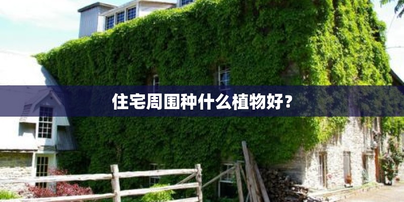 住宅周围种什么植物好？