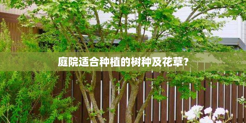 庭院适合种植的树种及花草？