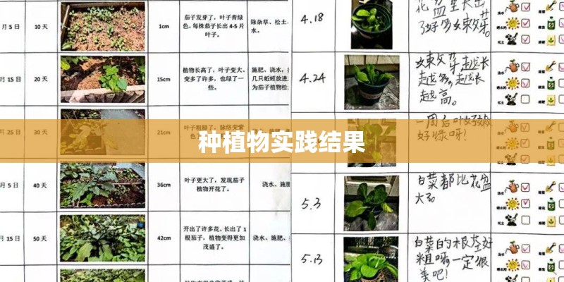 种植物实践结果