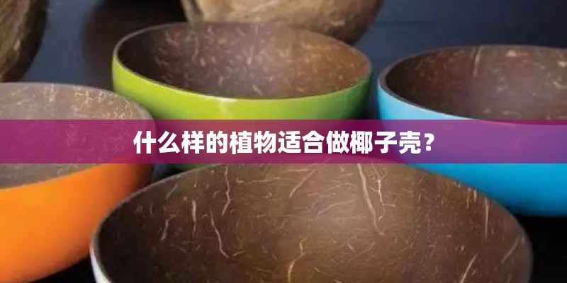 什么样的植物适合做椰子壳？
