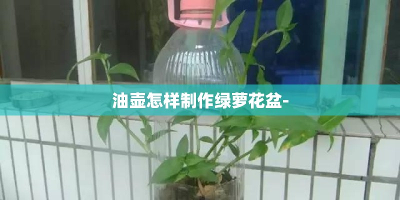 油壶怎样制作绿萝花盆-
