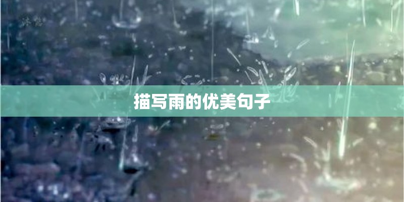 描写雨的优美句子