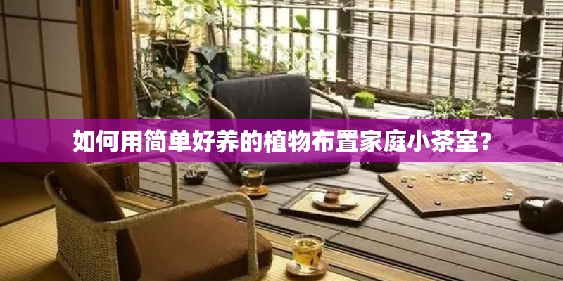 如何用简单好养的植物布置家庭小茶室？