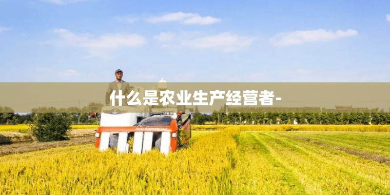 什么是农业生产经营者-