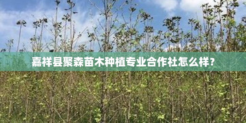 嘉祥县聚森苗木种植专业合作社怎么样？