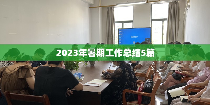 2023年暑期工作总结5篇