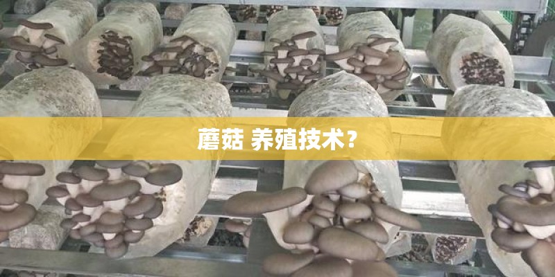 蘑菇 养殖技术？