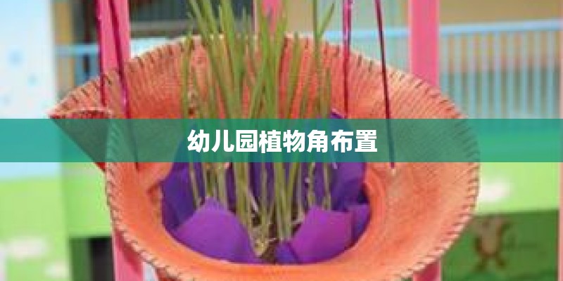 幼儿园植物角布置