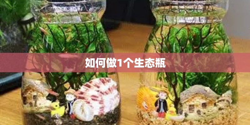如何做1个生态瓶