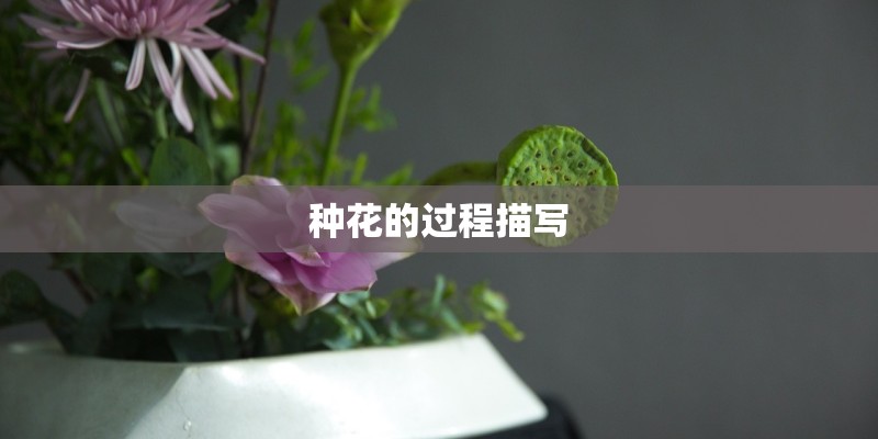 种花的过程描写