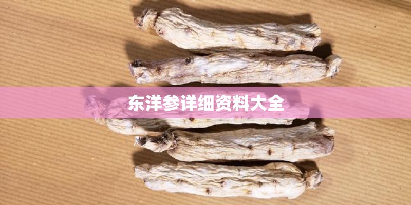 东洋参详细资料大全